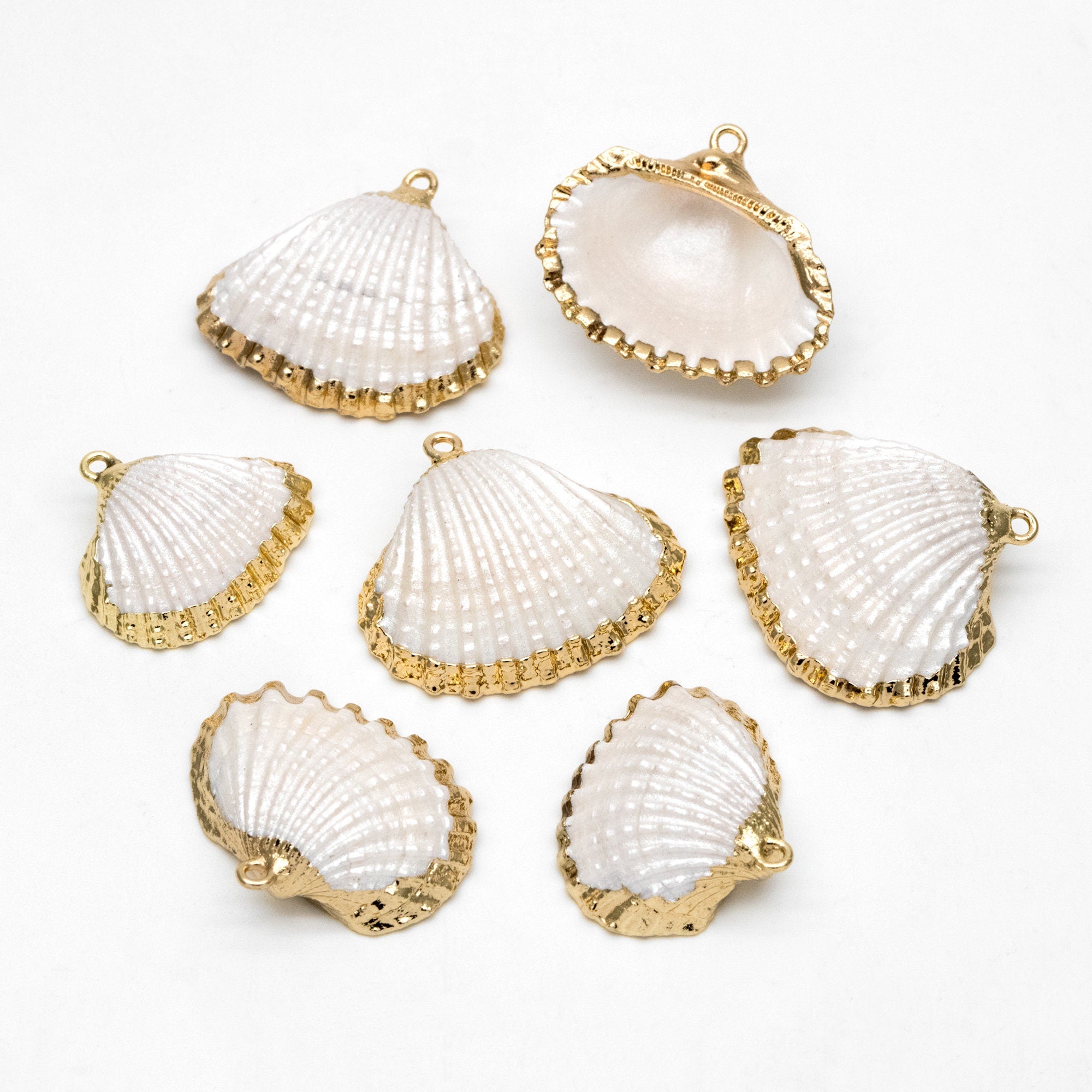 10pcs Natural Shell Charms, Gold plated Shell Pendants, White/ Aqua/ Pink (#V1388)